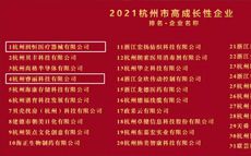 杭州润恒医疗器械有限公司上榜市高成长性企业名单